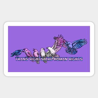 Trans Rights Crows Sticker